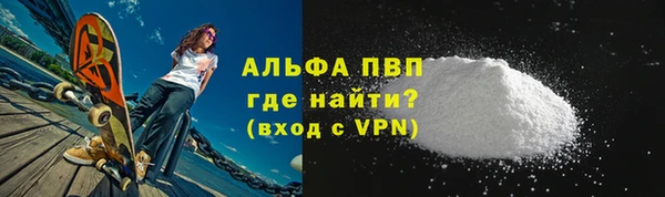 гашик Алексин