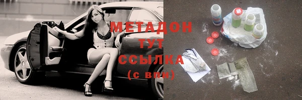 гашик Алексин