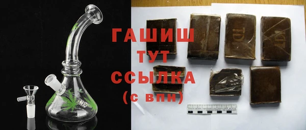 гашик Алексин