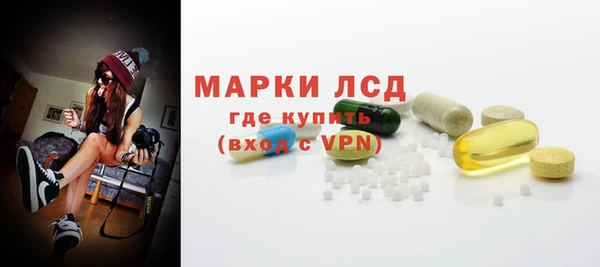 гашик Алексин