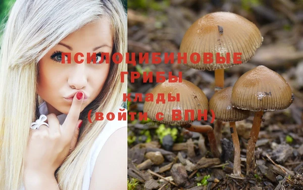 экстази Алзамай