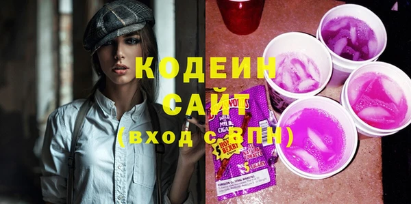 гашик Алексин