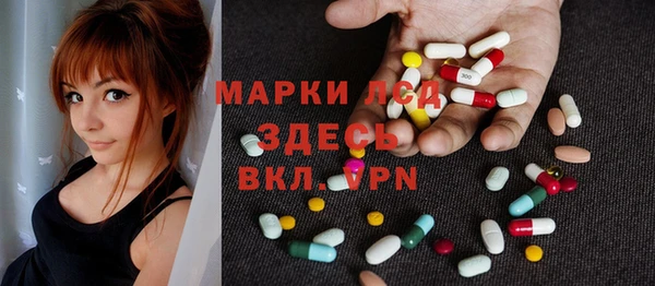 гашик Алексин