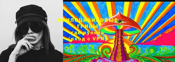 гашик Алексин