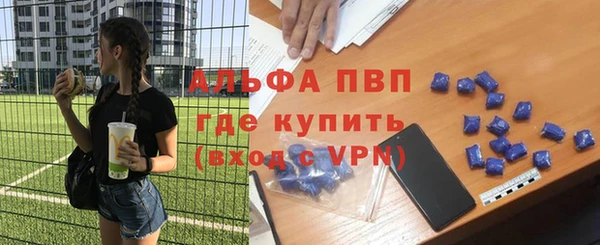 гашик Алексин