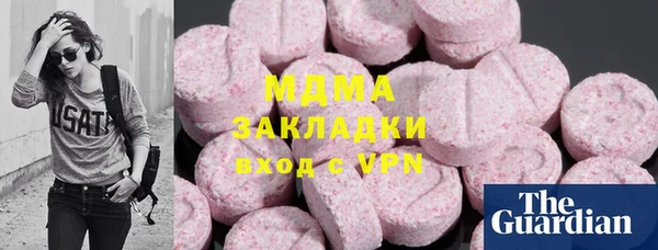 гашик Алексин