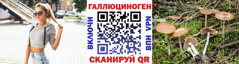 Псилоцибиновые грибы GOLDEN TEACHER  Данков 